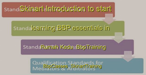Skinart Introduction to start learning BBP essentials in Rumah Kedu | BbpTraining | BbpClasses | SkinartTraining-Malaysia