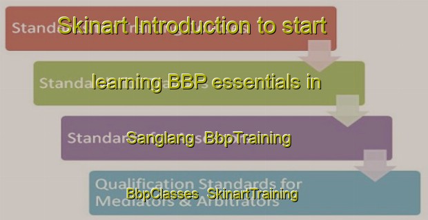 Skinart Introduction to start learning BBP essentials in Sanglang | BbpTraining | BbpClasses | SkinartTraining-Malaysia