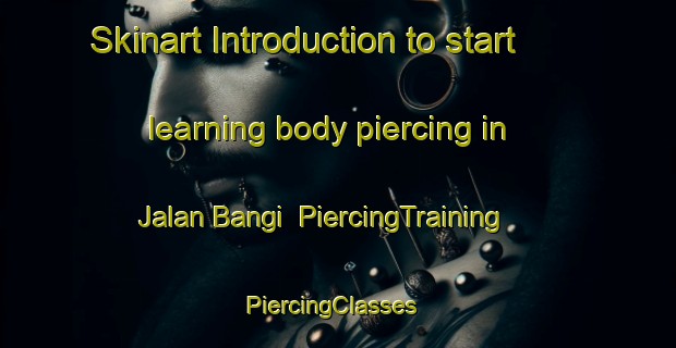 Skinart Introduction to start learning body piercing in Jalan Bangi | PiercingTraining | PiercingClasses | SkinartTraining-Malaysia