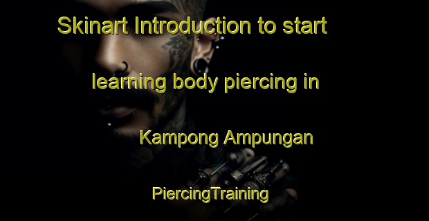 Skinart Introduction to start learning body piercing in Kampong Ampungan | #PiercingTraining #PiercingClasses #SkinartTraining-Malaysia