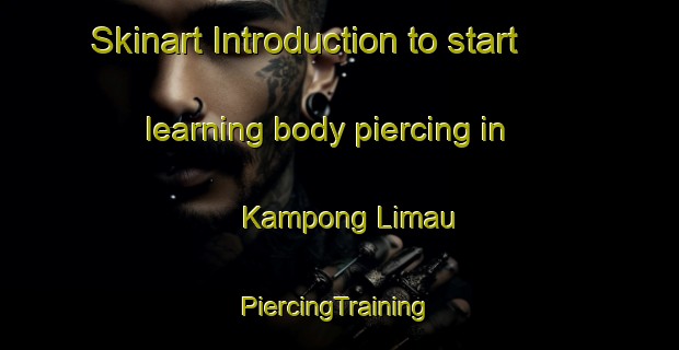 Skinart Introduction to start learning body piercing in Kampong Limau | #PiercingTraining #PiercingClasses #SkinartTraining-Malaysia