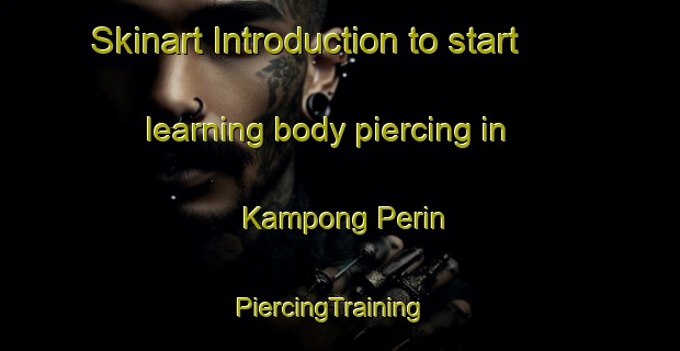 Skinart Introduction to start learning body piercing in Kampong Perin | PiercingTraining | PiercingClasses | SkinartTraining-Malaysia