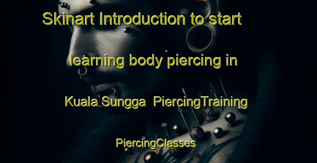 Skinart Introduction to start learning body piercing in Kuala Sungga | PiercingTraining | PiercingClasses | SkinartTraining-Malaysia