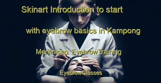 Skinart Introduction to start with eyebrow basics in Kampong Menlinisao | EyebrowTraining | EyebrowClasses | SkinartTraining-Malaysia