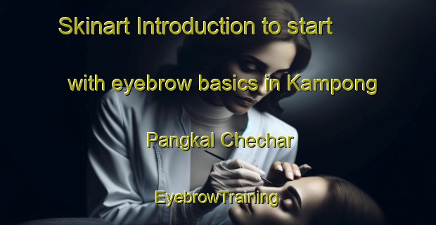 Skinart Introduction to start with eyebrow basics in Kampong Pangkal Chechar | EyebrowTraining | EyebrowClasses | SkinartTraining-Malaysia