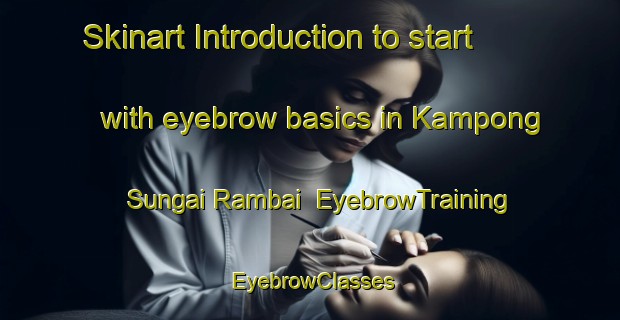 Skinart Introduction to start with eyebrow basics in Kampong Sungai Rambai | EyebrowTraining | EyebrowClasses | SkinartTraining-Malaysia