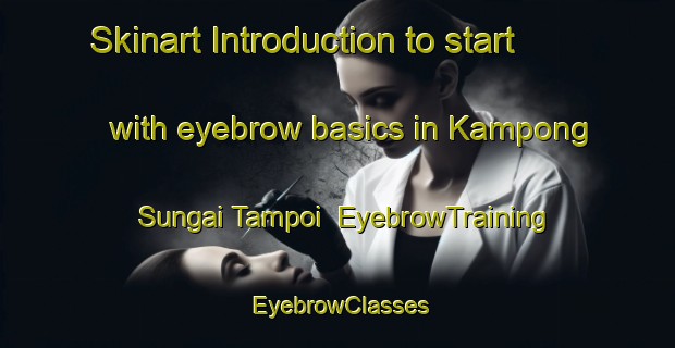 Skinart Introduction to start with eyebrow basics in Kampong Sungai Tampoi | EyebrowTraining | EyebrowClasses | SkinartTraining-Malaysia