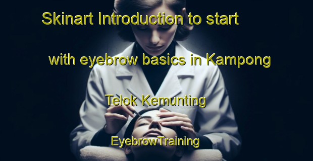 Skinart Introduction to start with eyebrow basics in Kampong Telok Kemunting | EyebrowTraining | EyebrowClasses | SkinartTraining-Malaysia
