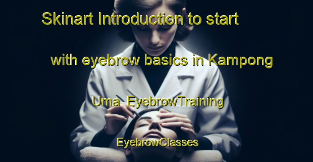 Skinart Introduction to start with eyebrow basics in Kampong Uma | EyebrowTraining | EyebrowClasses | SkinartTraining-Malaysia