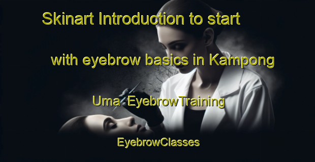 Skinart Introduction to start with eyebrow basics in Kampong Uma | EyebrowTraining | EyebrowClasses | SkinartTraining-Malaysia