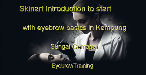 Skinart Introduction to start with eyebrow basics in Kampung Sungai Gemapai | EyebrowTraining | EyebrowClasses | SkinartTraining-Malaysia