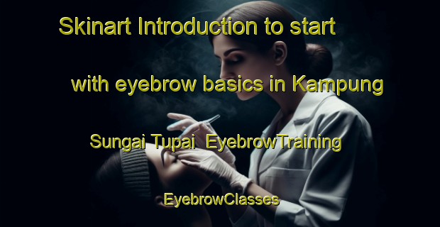 Skinart Introduction to start with eyebrow basics in Kampung Sungai Tupai | EyebrowTraining | EyebrowClasses | SkinartTraining-Malaysia