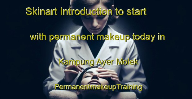 Skinart Introduction to start with permanent makeup today in Kampung Ayer Molek | PermanentmakeupTraining | PermanentmakeupClasses | SkinartTraining-Malaysia