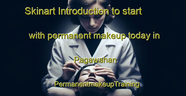 Skinart Introduction to start with permanent makeup today in Pagawahan | #PermanentmakeupTraining #PermanentmakeupClasses #SkinartTraining-Malaysia