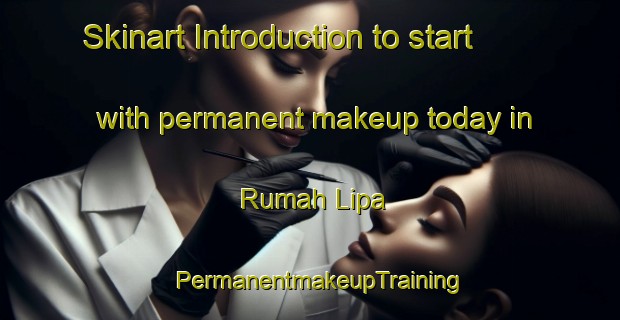 Skinart Introduction to start with permanent makeup today in Rumah Lipa | PermanentmakeupTraining | PermanentmakeupClasses | SkinartTraining-Malaysia