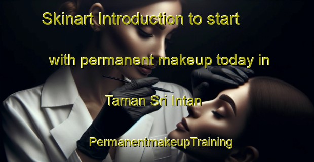 Skinart Introduction to start with permanent makeup today in Taman Sri Intan | PermanentmakeupTraining | PermanentmakeupClasses | SkinartTraining-Malaysia