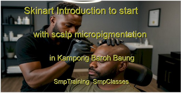 Skinart Introduction to start with scalp micropigmentation in Kampong Baroh Baung | SmpTraining | SmpClasses | SkinartTraining-Malaysia