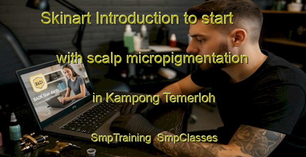 Skinart Introduction to start with scalp micropigmentation in Kampong Temerloh | SmpTraining | SmpClasses | SkinartTraining-Malaysia