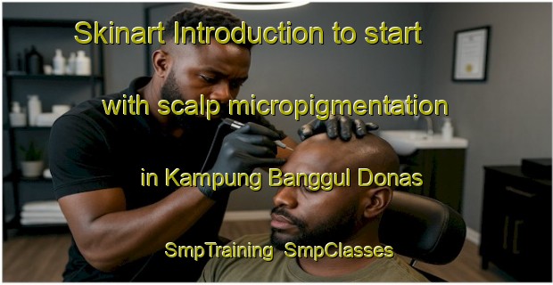 Skinart Introduction to start with scalp micropigmentation in Kampung Banggul Donas | SmpTraining | SmpClasses | SkinartTraining-Malaysia