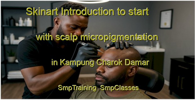 Skinart Introduction to start with scalp micropigmentation in Kampung Charok Damar | SmpTraining | SmpClasses | SkinartTraining-Malaysia