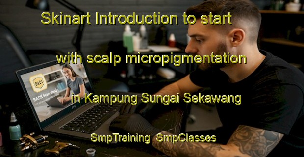 Skinart Introduction to start with scalp micropigmentation in Kampung Sungai Sekawang | SmpTraining | SmpClasses | SkinartTraining-Malaysia