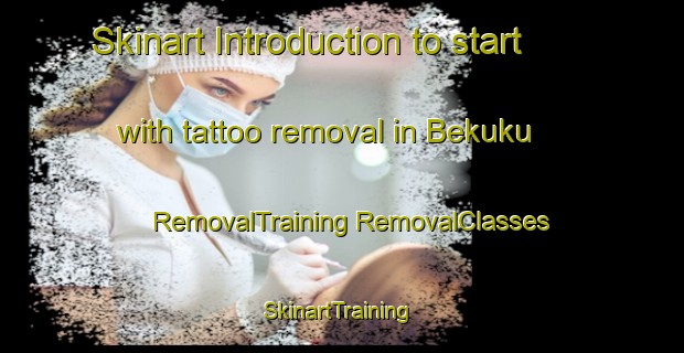 Skinart Introduction to start with tattoo removal in Bekuku | #RemovalTraining #RemovalClasses #SkinartTraining-Malaysia