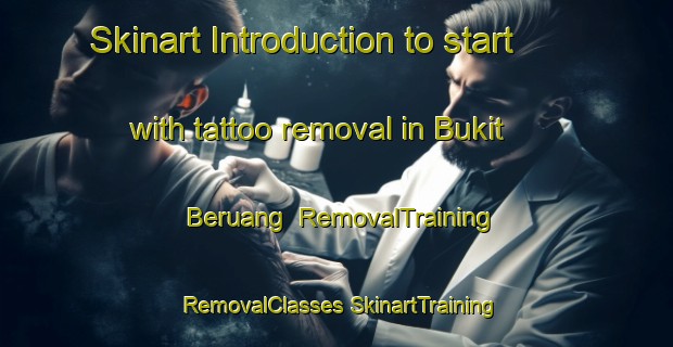 Skinart Introduction to start with tattoo removal in Bukit Beruang | #RemovalTraining #RemovalClasses #SkinartTraining-Malaysia