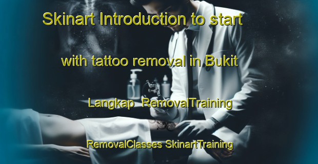 Skinart Introduction to start with tattoo removal in Bukit Langkap | #RemovalTraining #RemovalClasses #SkinartTraining-Malaysia