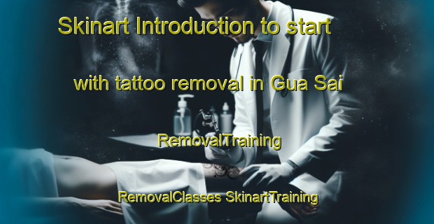 Skinart Introduction to start with tattoo removal in Gua Sai | #RemovalTraining #RemovalClasses #SkinartTraining-Malaysia