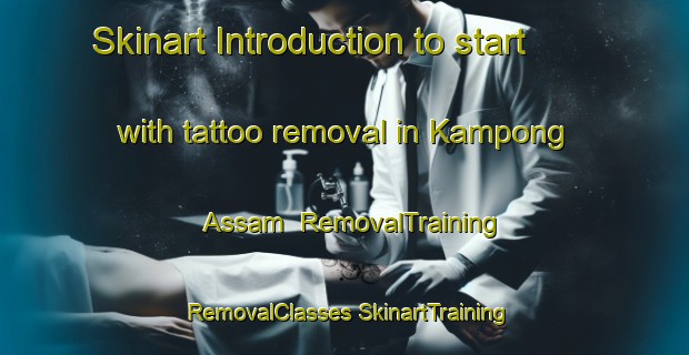 Skinart Introduction to start with tattoo removal in Kampong Assam | #RemovalTraining #RemovalClasses #SkinartTraining-Malaysia