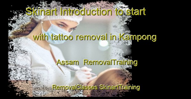 Skinart Introduction to start with tattoo removal in Kampong Assam | #RemovalTraining #RemovalClasses #SkinartTraining-Malaysia