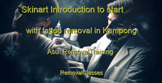Skinart Introduction to start with tattoo removal in Kampong Asu | RemovalTraining | RemovalClasses | SkinartTraining-Malaysia