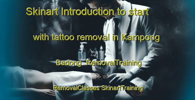 Skinart Introduction to start with tattoo removal in Kampong Badong | #RemovalTraining #RemovalClasses #SkinartTraining-Malaysia