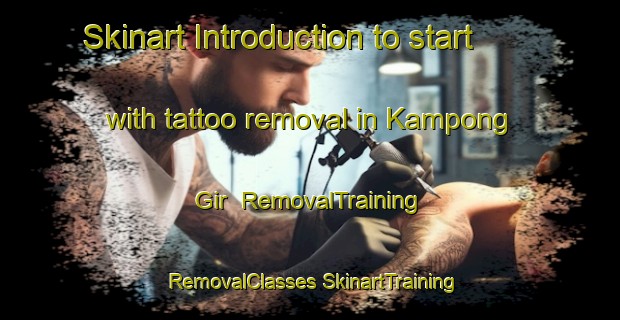 Skinart Introduction to start with tattoo removal in Kampong Gir | #RemovalTraining #RemovalClasses #SkinartTraining-Malaysia