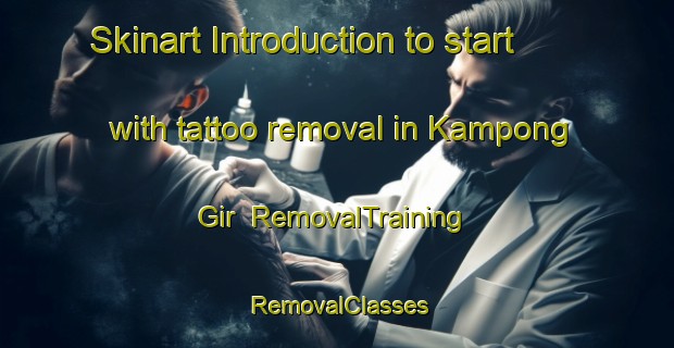 Skinart Introduction to start with tattoo removal in Kampong Gir | RemovalTraining | RemovalClasses | SkinartTraining-Malaysia