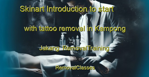 Skinart Introduction to start with tattoo removal in Kampong Jakang | RemovalTraining | RemovalClasses | SkinartTraining-Malaysia