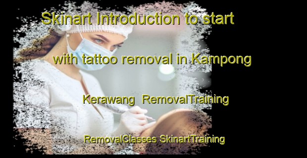 Skinart Introduction to start with tattoo removal in Kampong Kerawang | #RemovalTraining #RemovalClasses #SkinartTraining-Malaysia