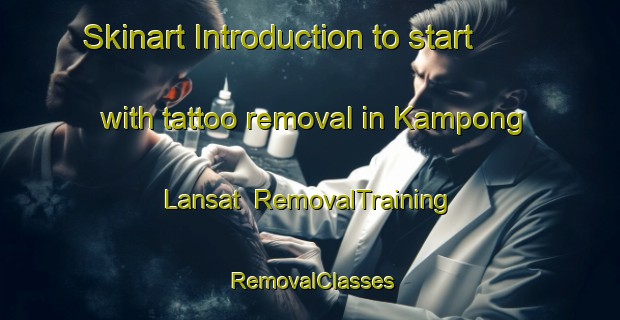 Skinart Introduction to start with tattoo removal in Kampong Lansat | RemovalTraining | RemovalClasses | SkinartTraining-Malaysia