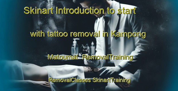 Skinart Introduction to start with tattoo removal in Kampong Matoumat | #RemovalTraining #RemovalClasses #SkinartTraining-Malaysia