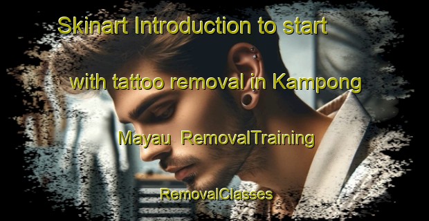 Skinart Introduction to start with tattoo removal in Kampong Mayau | RemovalTraining | RemovalClasses | SkinartTraining-Malaysia