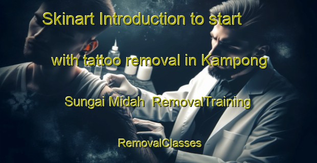Skinart Introduction to start with tattoo removal in Kampong Sungai Midah | RemovalTraining | RemovalClasses | SkinartTraining-Malaysia