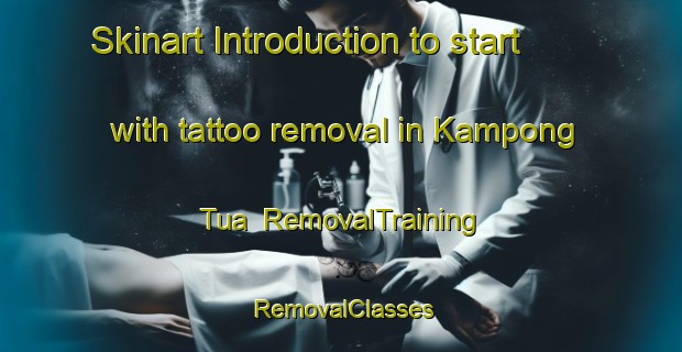 Skinart Introduction to start with tattoo removal in Kampong Tua | RemovalTraining | RemovalClasses | SkinartTraining-Malaysia