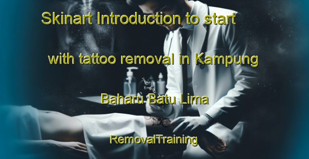Skinart Introduction to start with tattoo removal in Kampung Baharu Batu Lima | RemovalTraining | RemovalClasses | SkinartTraining-Malaysia