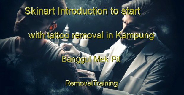 Skinart Introduction to start with tattoo removal in Kampung Banggul Mek Pit | RemovalTraining | RemovalClasses | SkinartTraining-Malaysia
