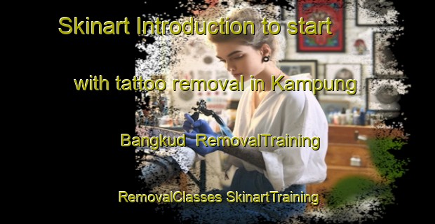 Skinart Introduction to start with tattoo removal in Kampung Bangkud | #RemovalTraining #RemovalClasses #SkinartTraining-Malaysia