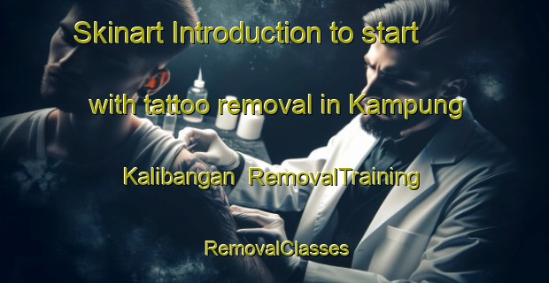Skinart Introduction to start with tattoo removal in Kampung Kalibangan | RemovalTraining | RemovalClasses | SkinartTraining-Malaysia