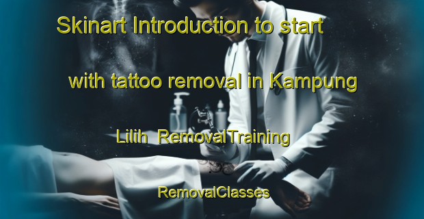Skinart Introduction to start with tattoo removal in Kampung Lilih | RemovalTraining | RemovalClasses | SkinartTraining-Malaysia