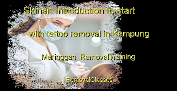 Skinart Introduction to start with tattoo removal in Kampung Maringgan | RemovalTraining | RemovalClasses | SkinartTraining-Malaysia