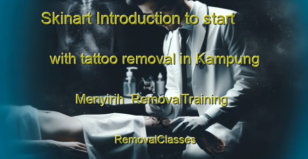 Skinart Introduction to start with tattoo removal in Kampung Menyirih | RemovalTraining | RemovalClasses | SkinartTraining-Malaysia