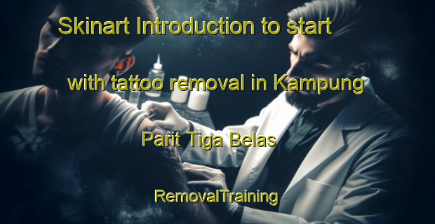 Skinart Introduction to start with tattoo removal in Kampung Parit Tiga Belas | RemovalTraining | RemovalClasses | SkinartTraining-Malaysia